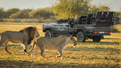 MARATABA, une réserve privée aux Big 5 sans paludisme