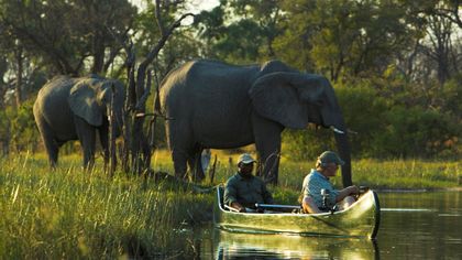 GREAT PLAINS ramène l'expérience safari à ses racines - BOTSWANA