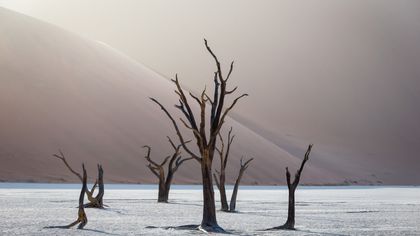 La Namibie, entre paysages épiques et faune incroyable uniques au monde!